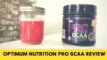 Optimum Nutrition Pro BCAA