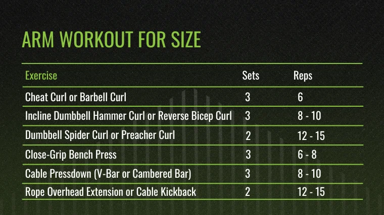 The Arm Workout for Size chart.