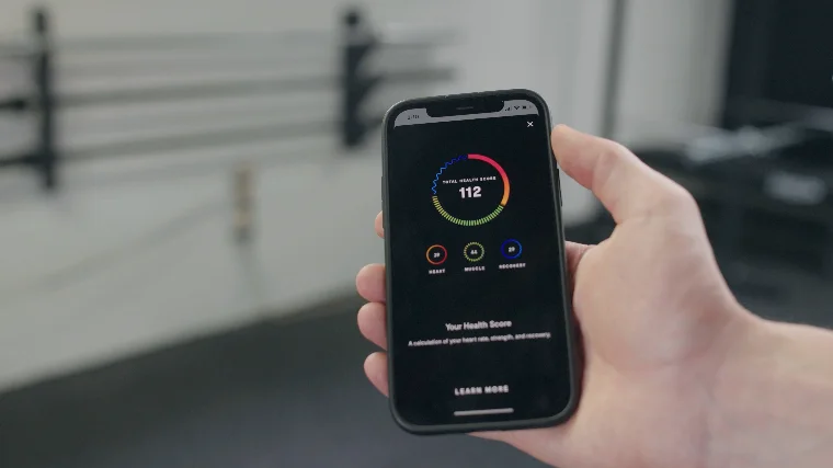 Mirror Health Score