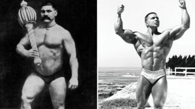 vegetarian athletes