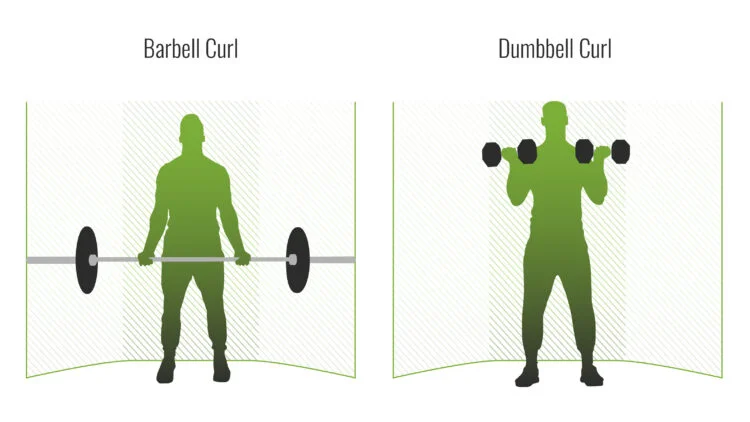 superset_curls