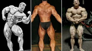 Best Calves in Men's Open Bodybuilding