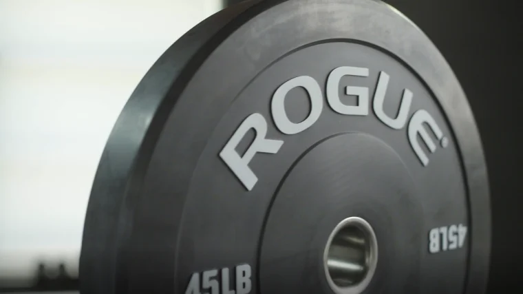 Rogue Echo Bumper Plates Build