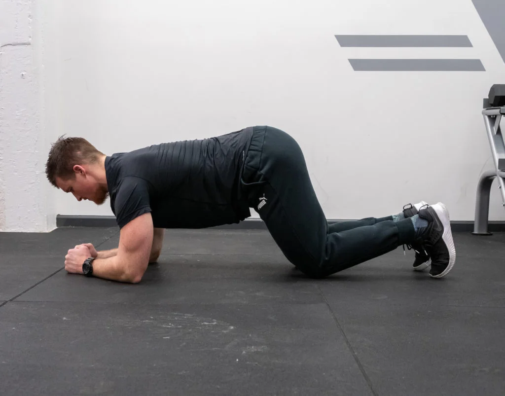 Plank Starting Position
