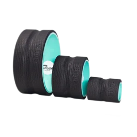 Chirp Wheel