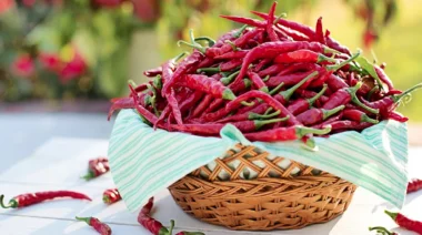 chili peppers featured