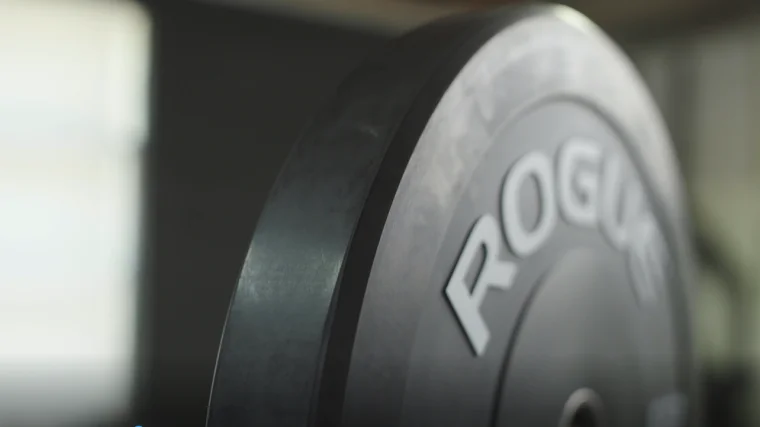 Rogue Echo Bumper Plates Profile