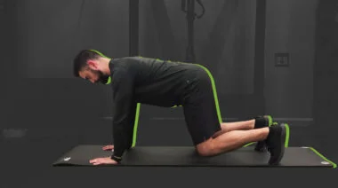 Bear Plank Exercise