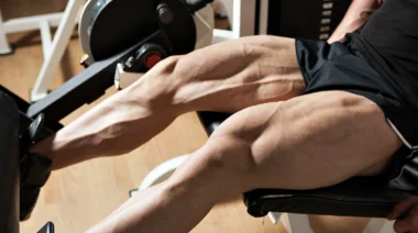 Leg Extension