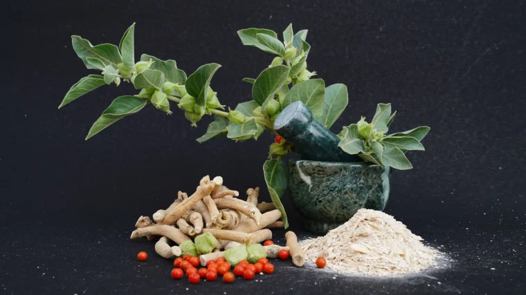 Ashwagandha roots and powder.