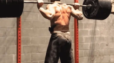 box squat vs regular squat