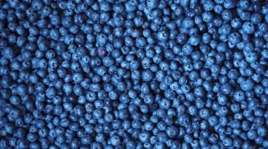 blueberries