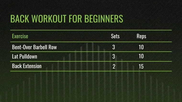 back workout for beginners
