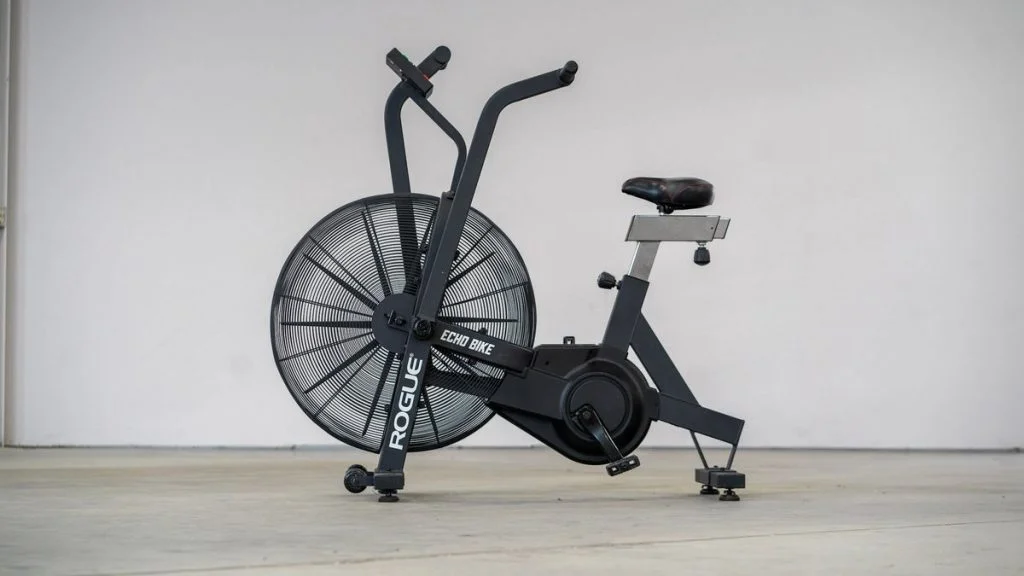 Rogue Echo Bike