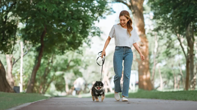 A person walking their dog.
