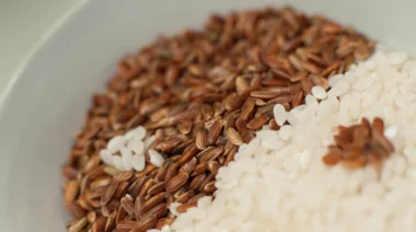 brown rice vs white rice