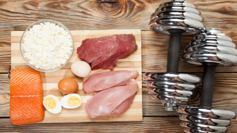 protein sources