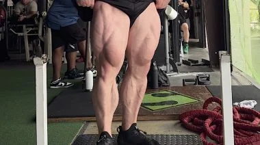 Labrada 1