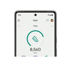 Fitbit App