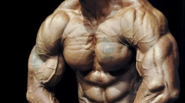 shawn wolfe bodybuilder stage