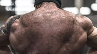 Best Winter Bulking Strategies