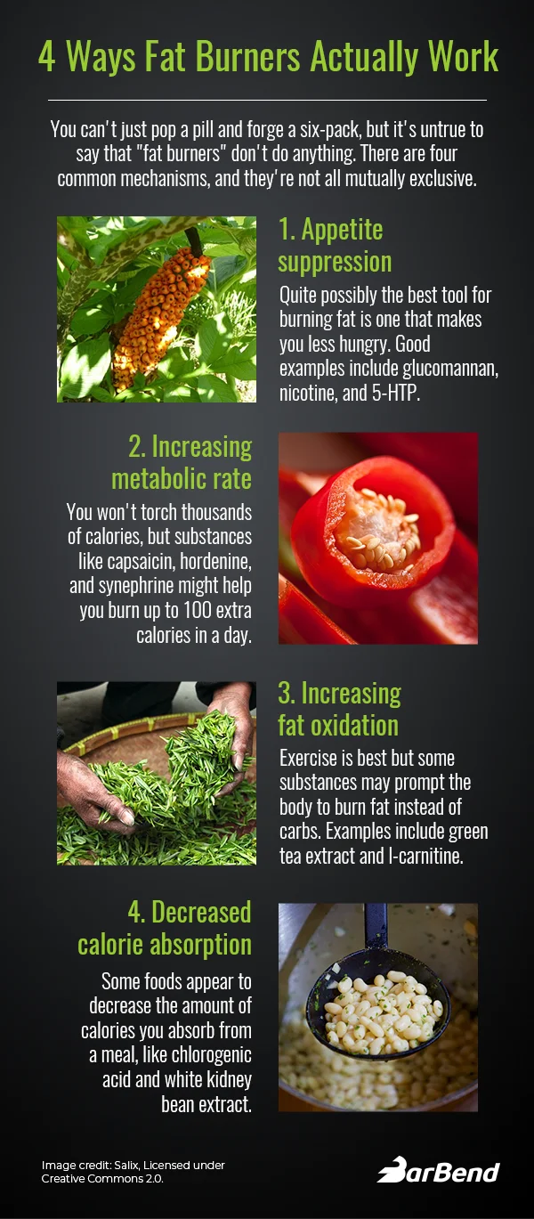 4 ways fat burners work