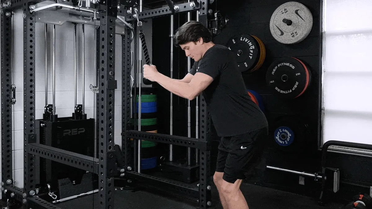 Triceps Pushdown GIF