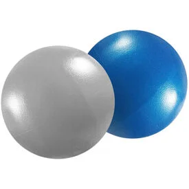 Mini Exercise Barre Ball