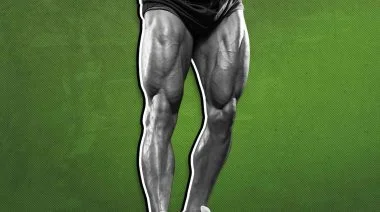 leg anatomy feature