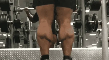 calf raises
