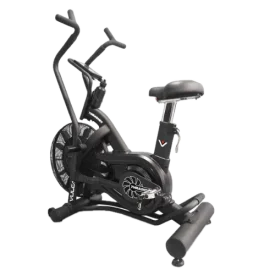 Vulcan Thrasher Air Bike