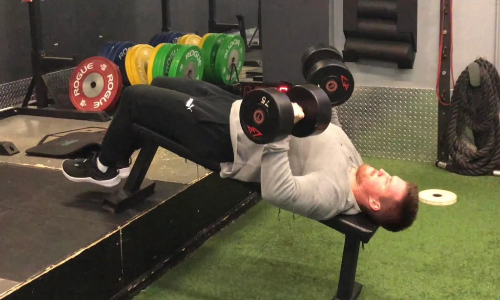 Decline Dumbbell Bench Press Mid
