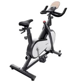 Mobi Fitness Exercise Bike