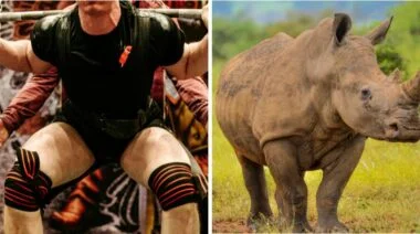 Powerlifter Muscle Fiber Research