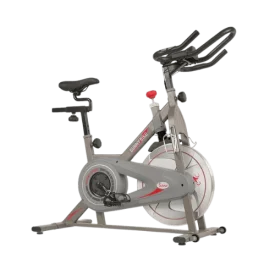 Sunny Health & Fitness SF-B1879 Synergy Exercise Bike