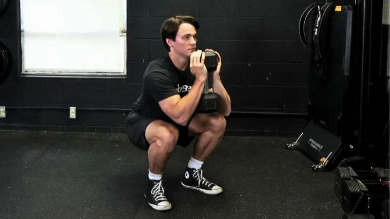 A person doing the goblet squat with a dumbbell.