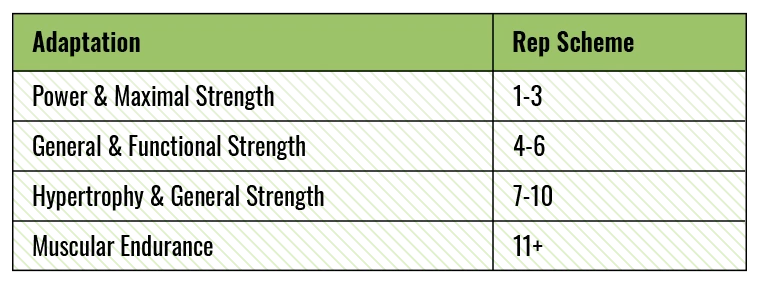 Set and Rep Chart