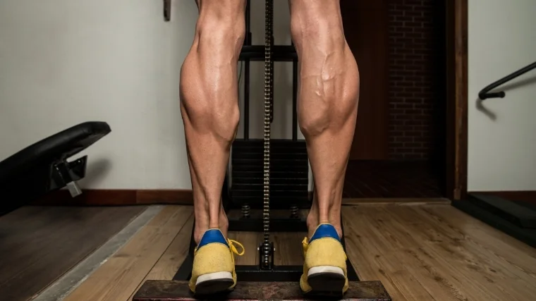 standing calf raise