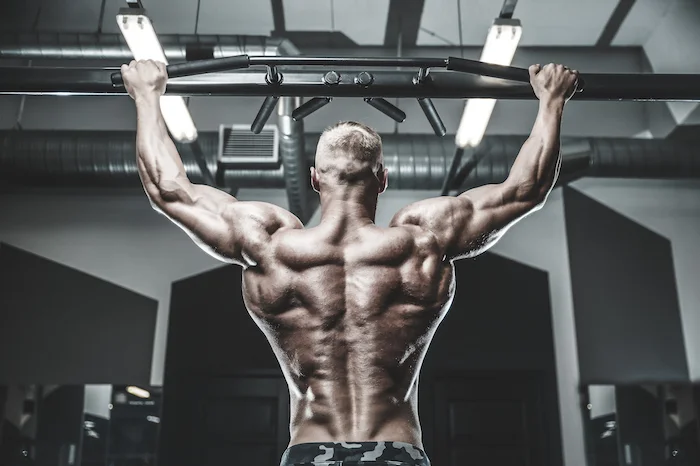 muscular back