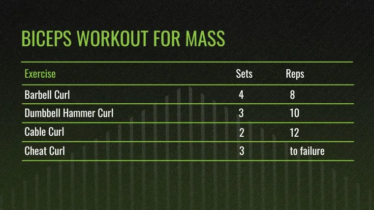 The Biceps Workout for Mass chart.