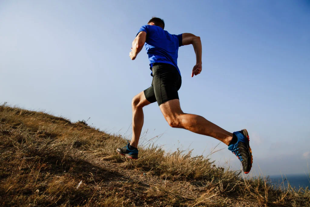 Understanding HRV Numbers