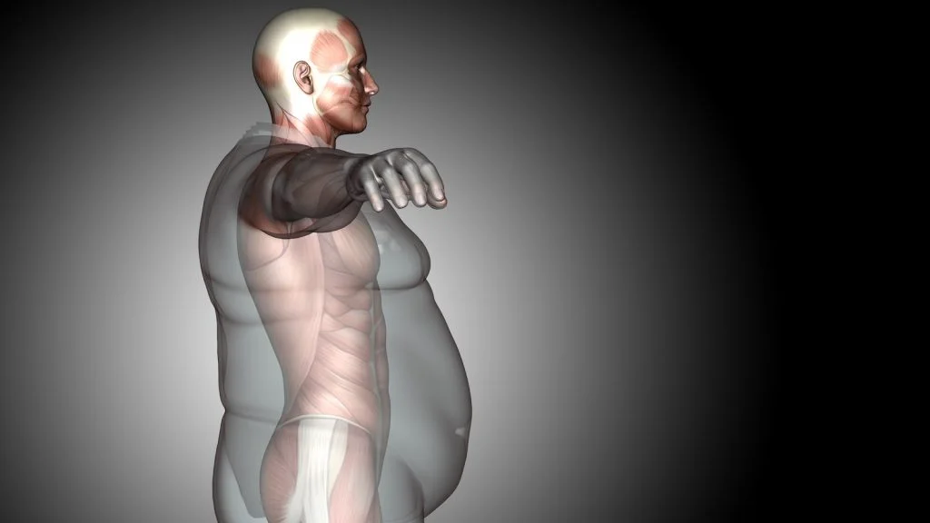 Everything You Need To Know About Modern Fat Loss Techniques